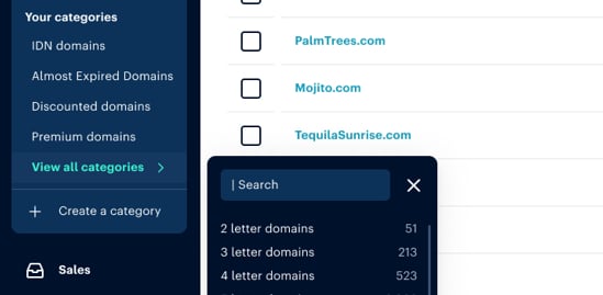 Dan.com category option shows domain categories IDN domains, almost expired domains, discount domains, 2 letter domains