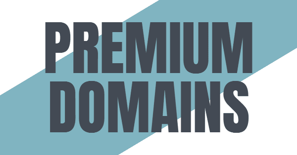 Graphic with the words "premium domains"