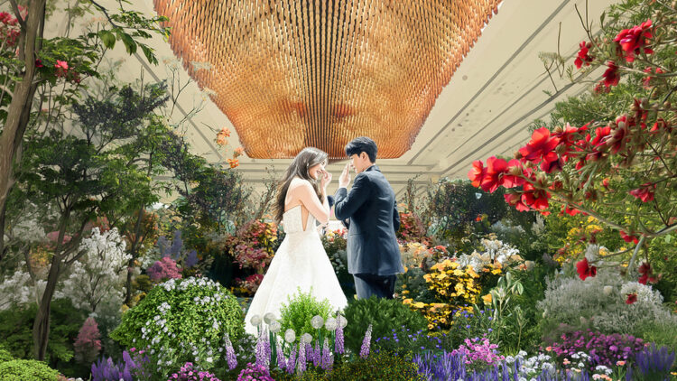 Begin Your Forever With Us